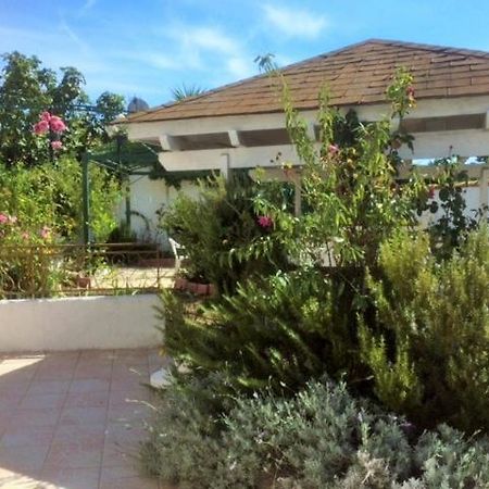 Appartement 3 Chambres Proche Mer Entre Palavas Les Flots Et Frontignan Plage Dans Maison Avec Jardin Villeneuve-lès-Maguelonne Exteriör bild