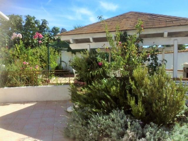 Appartement 3 Chambres Proche Mer Entre Palavas Les Flots Et Frontignan Plage Dans Maison Avec Jardin Villeneuve-lès-Maguelonne Exteriör bild